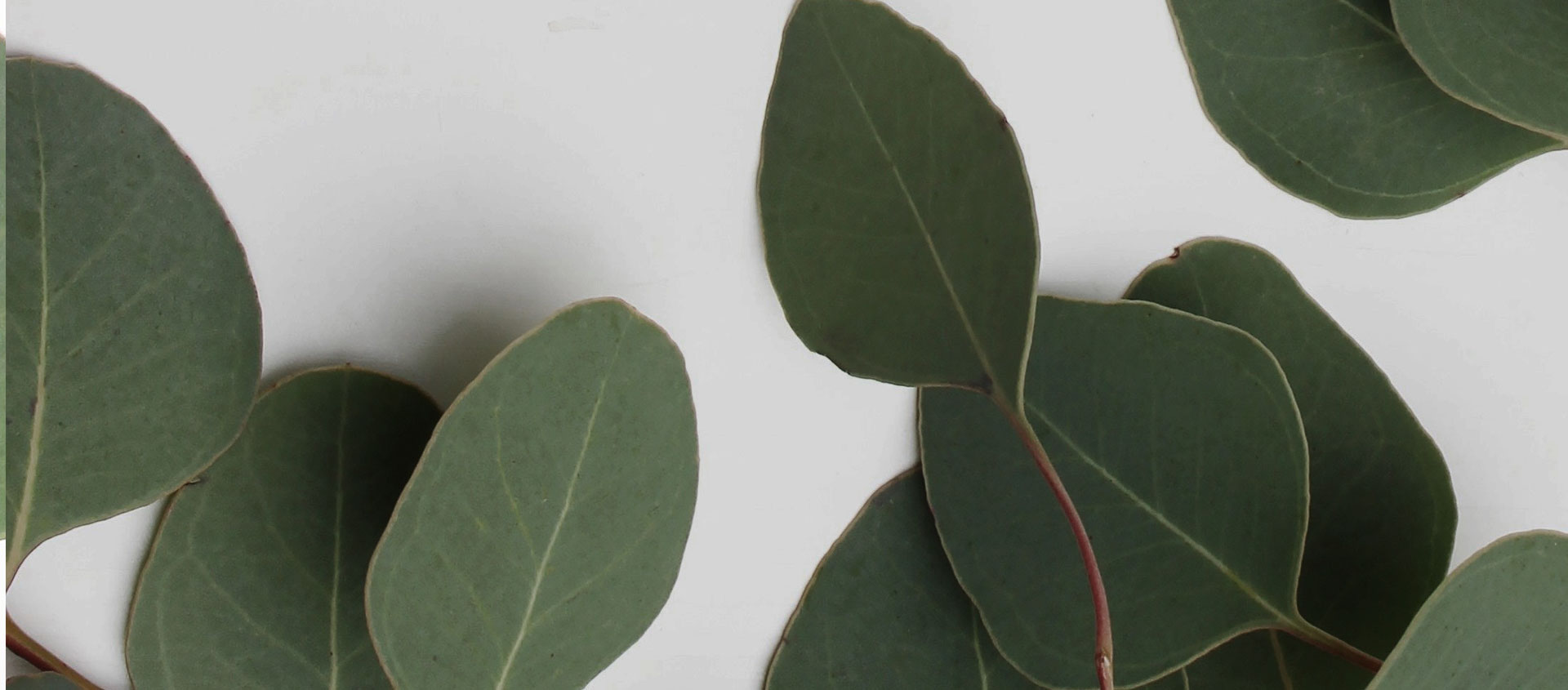 Взыскание ущерба от экологических правонарушений в Бахчисарае